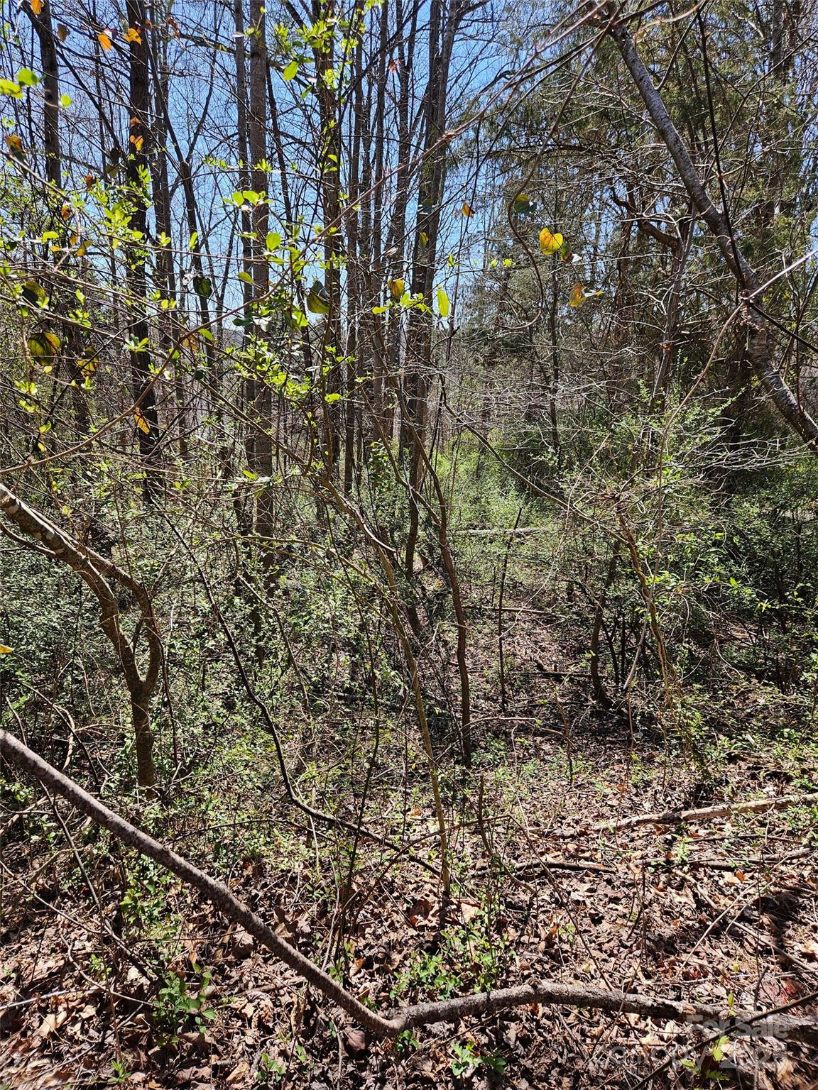 0 Gray Court 56 & 55