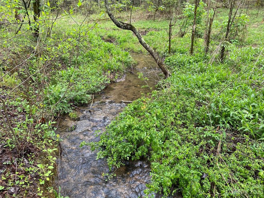 Unrestricted parcel priced well below assessed value. Approx. 3300 Ft above sea level. Creek meanders through property, and large rock formations will make attractive features for an estate or small home community. 20 minutes to Highlands, 16 minutes to Dillard. Buyer is advised to confirm all information in this listing with their own independent sources.