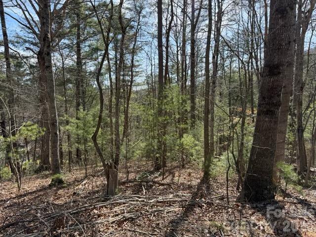 Riceville Forest - Land