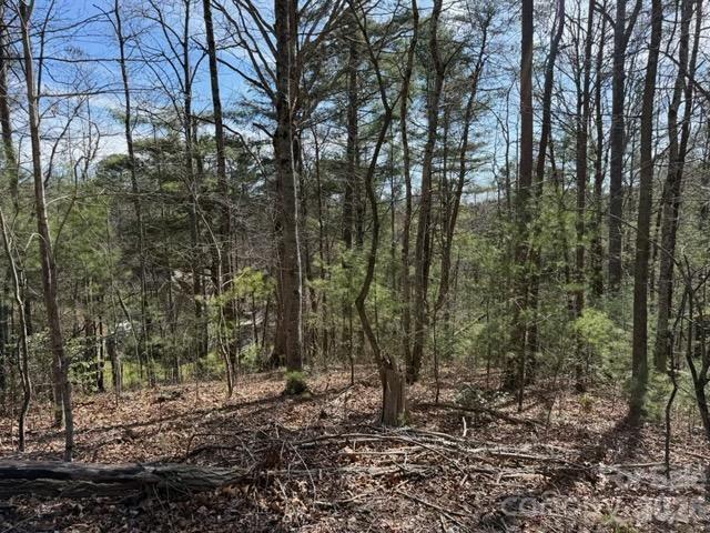 Riceville Forest - Land