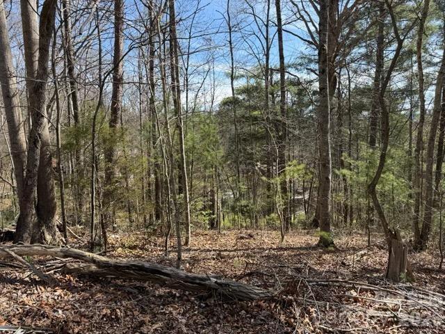 Riceville Forest - Land