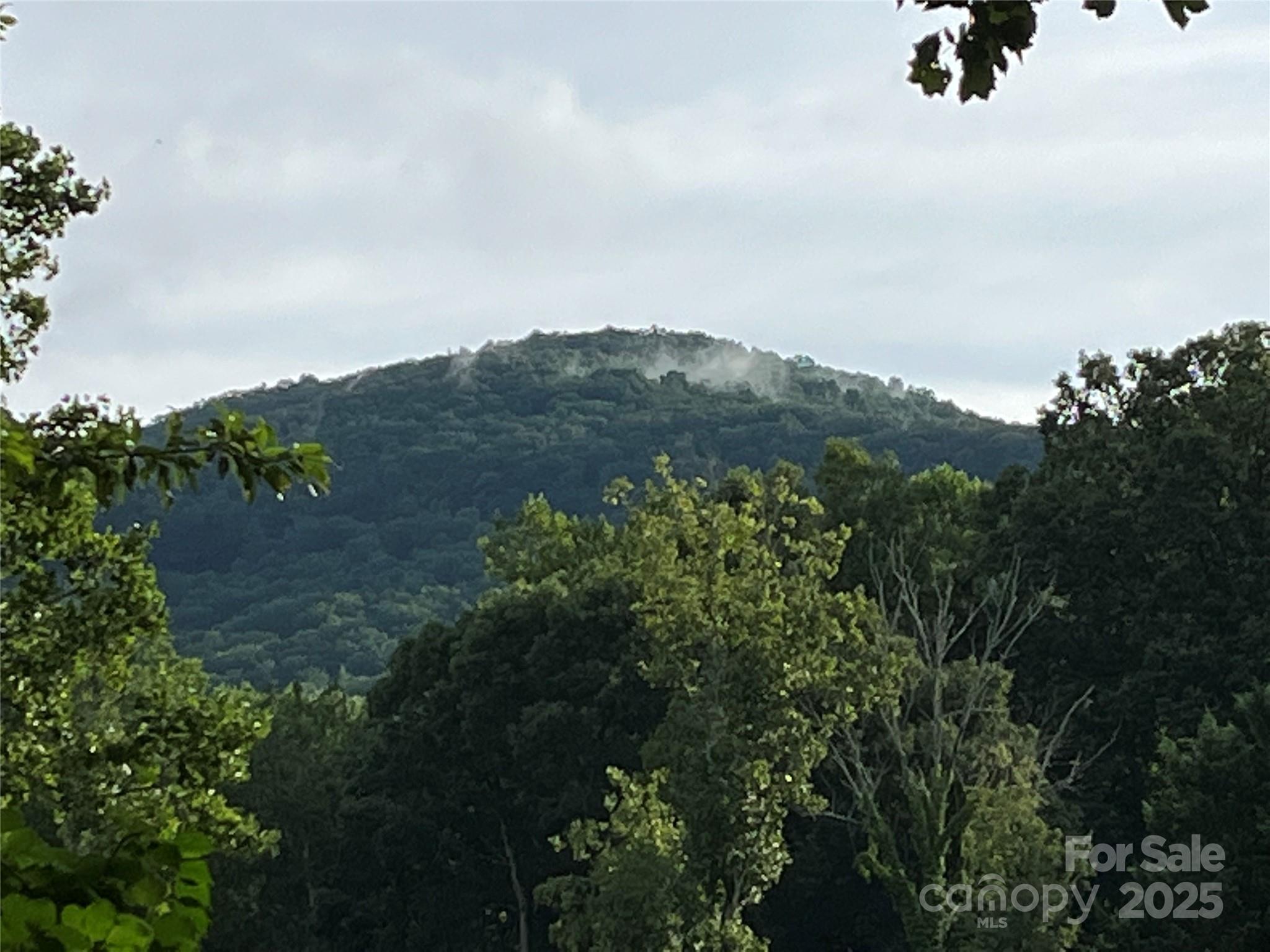 794 New Haw Creek Road