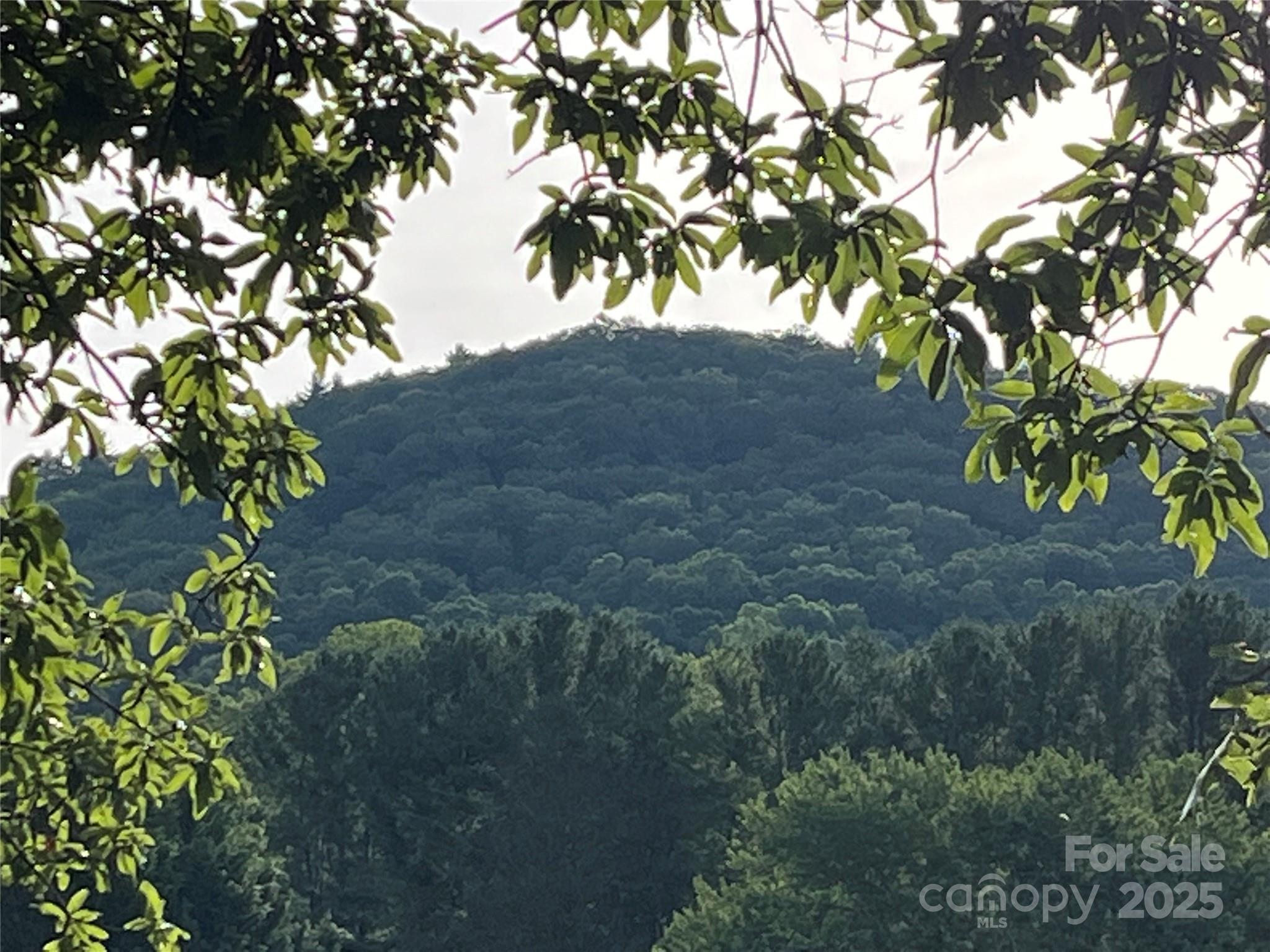 794 New Haw Creek Road