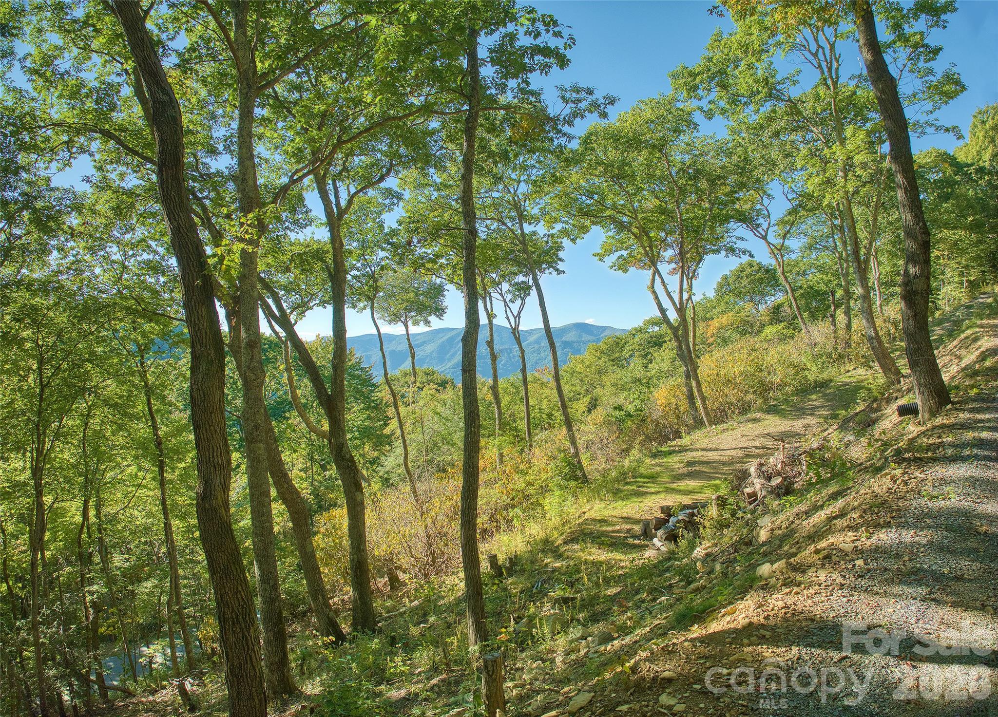 270 Olli Trail