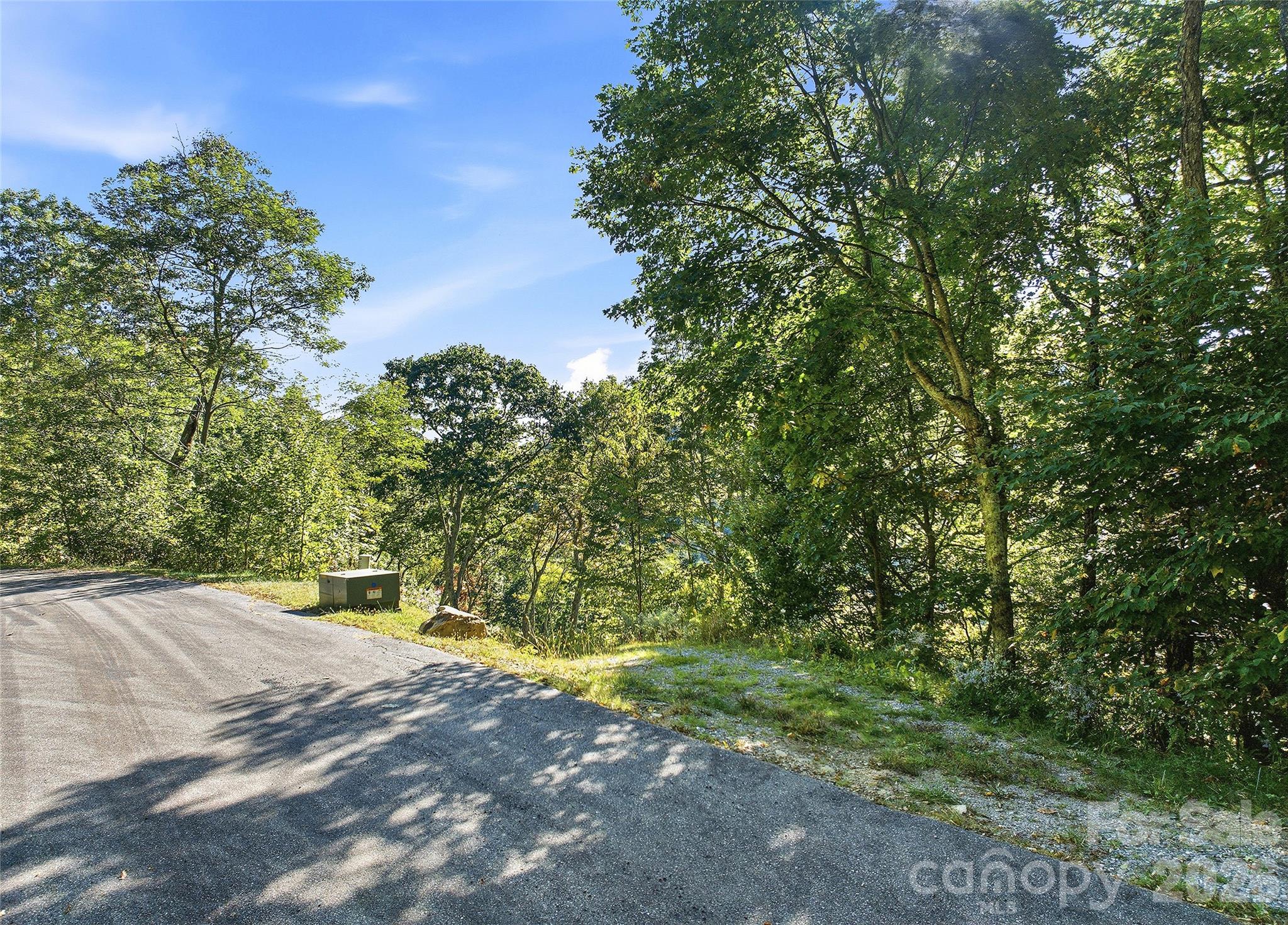 270 Olli Trail