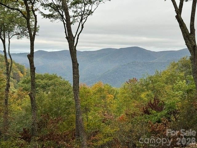270 Olli Trail