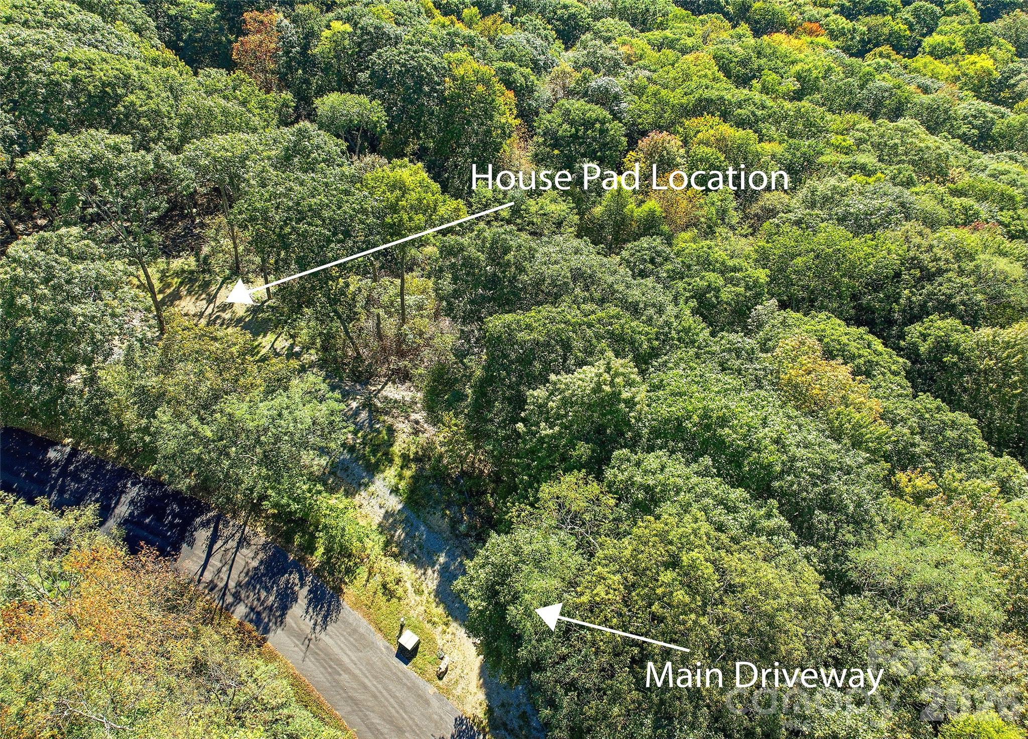 270 Olli Trail