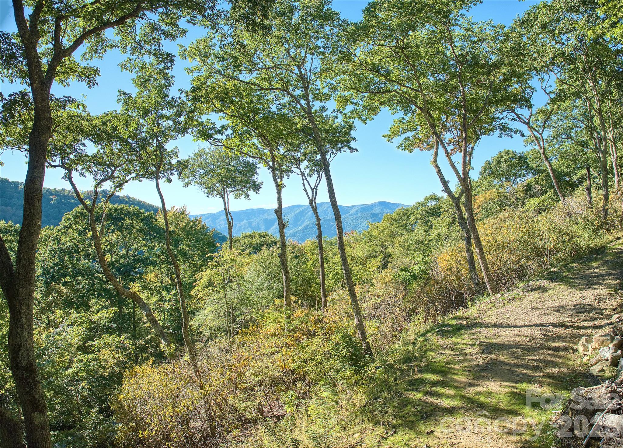 270 Olli Trail