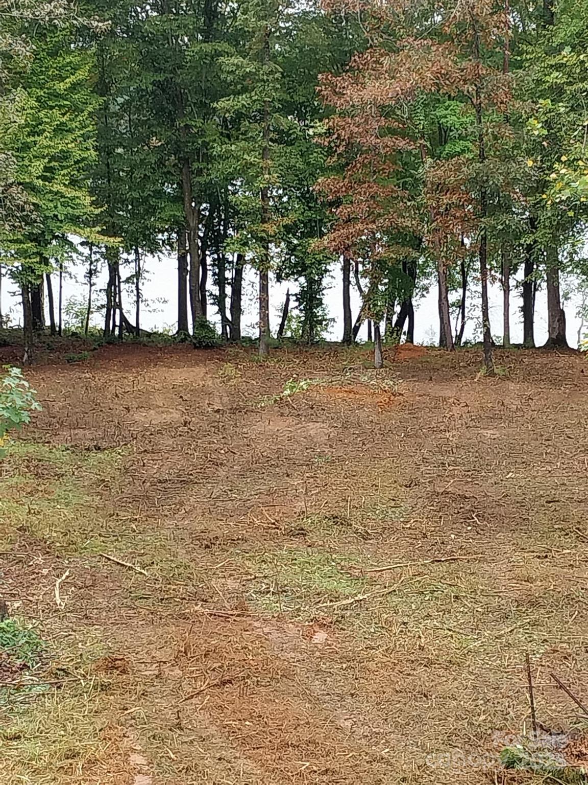 3298 Belford Trail 175