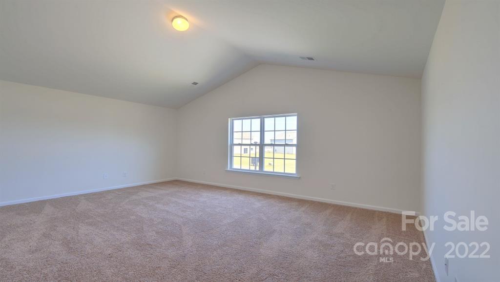 The Mills at Long Creek - Residential