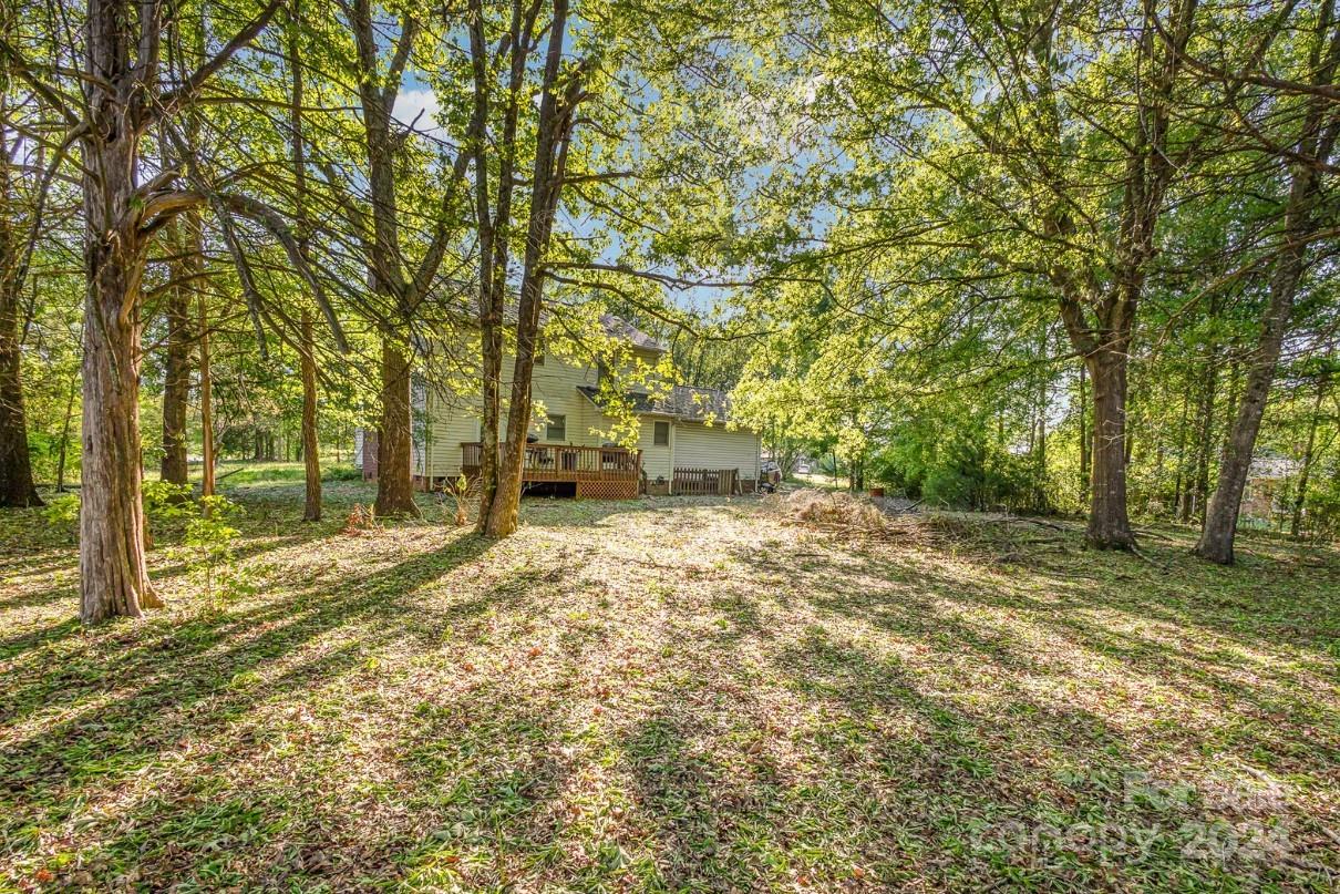 Briar Patch - Residential