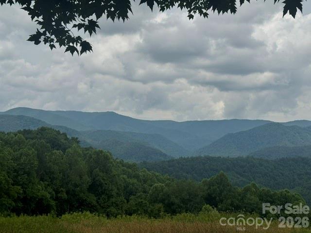 00 Sugar Loaf Mountain Road