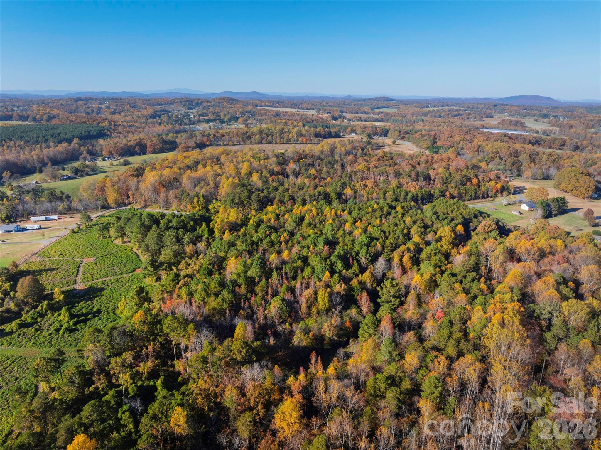 0000 Bud Davis Road 8