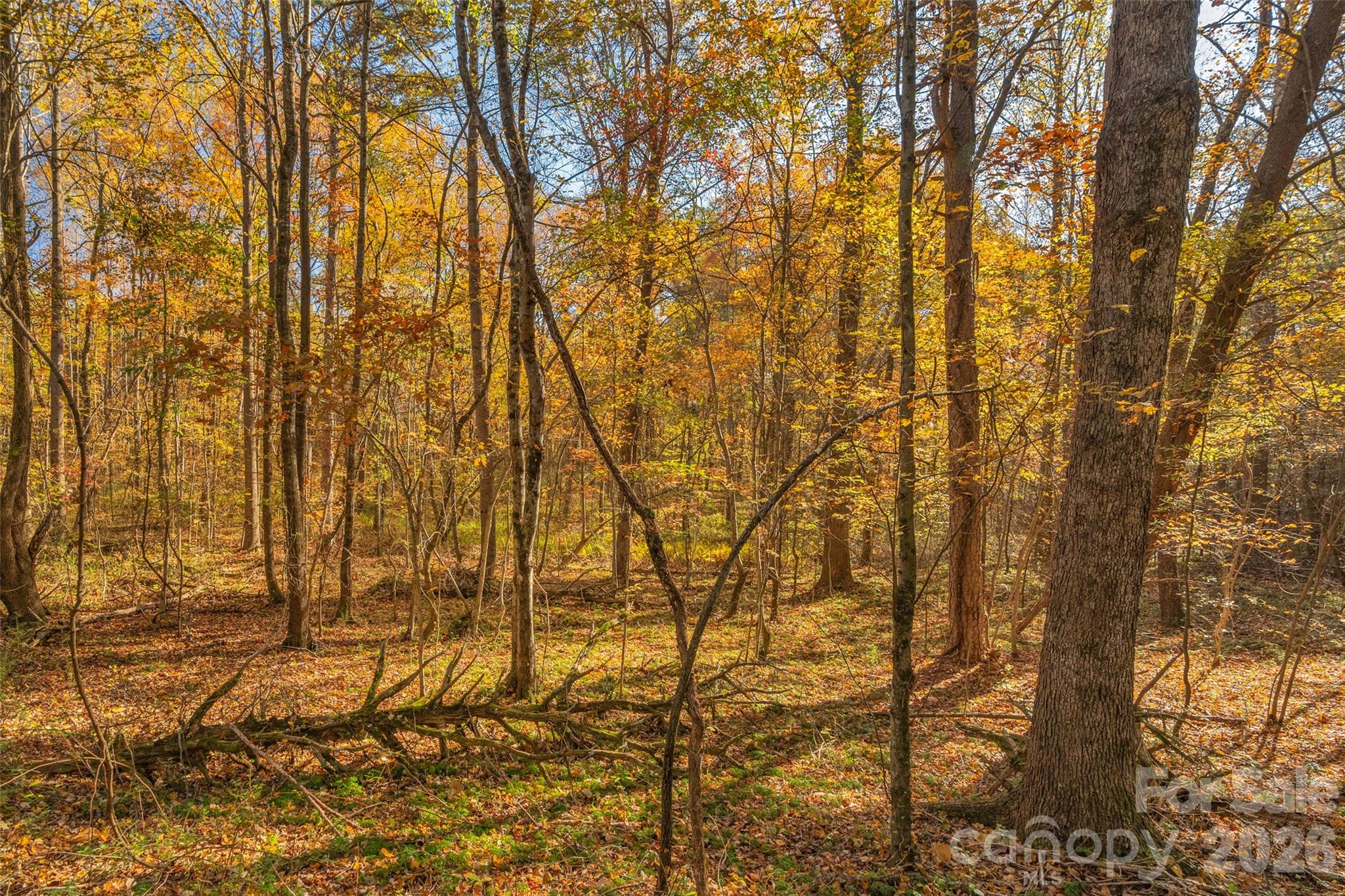 0000 Bud Davis Road 8