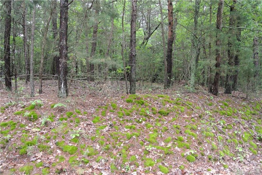 Great property that is close to everything but feels miles away.  Bring your builder and get creative.  This lot has only minimal build restrictions and is in the county with no HOA.  Nivens Creek Landing is just up the road so you can live the lake life without the high price tag.