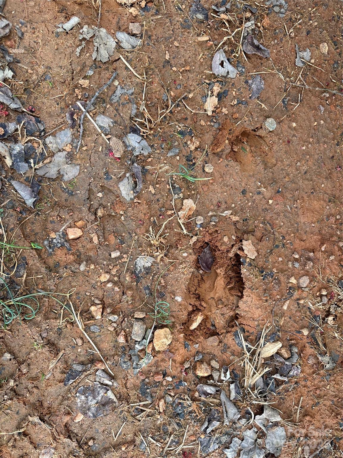 00 Austin Traphill Road B