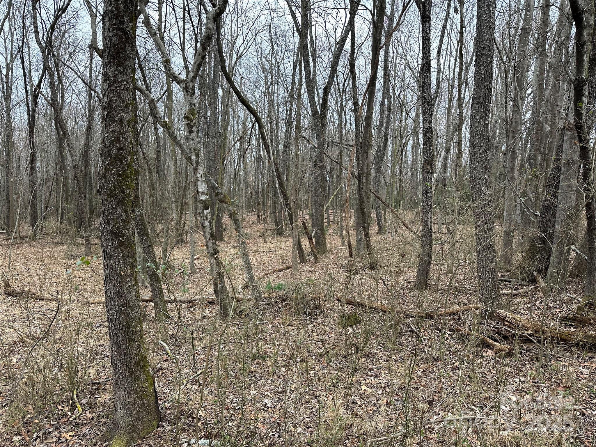 00 Austin Traphill Road B