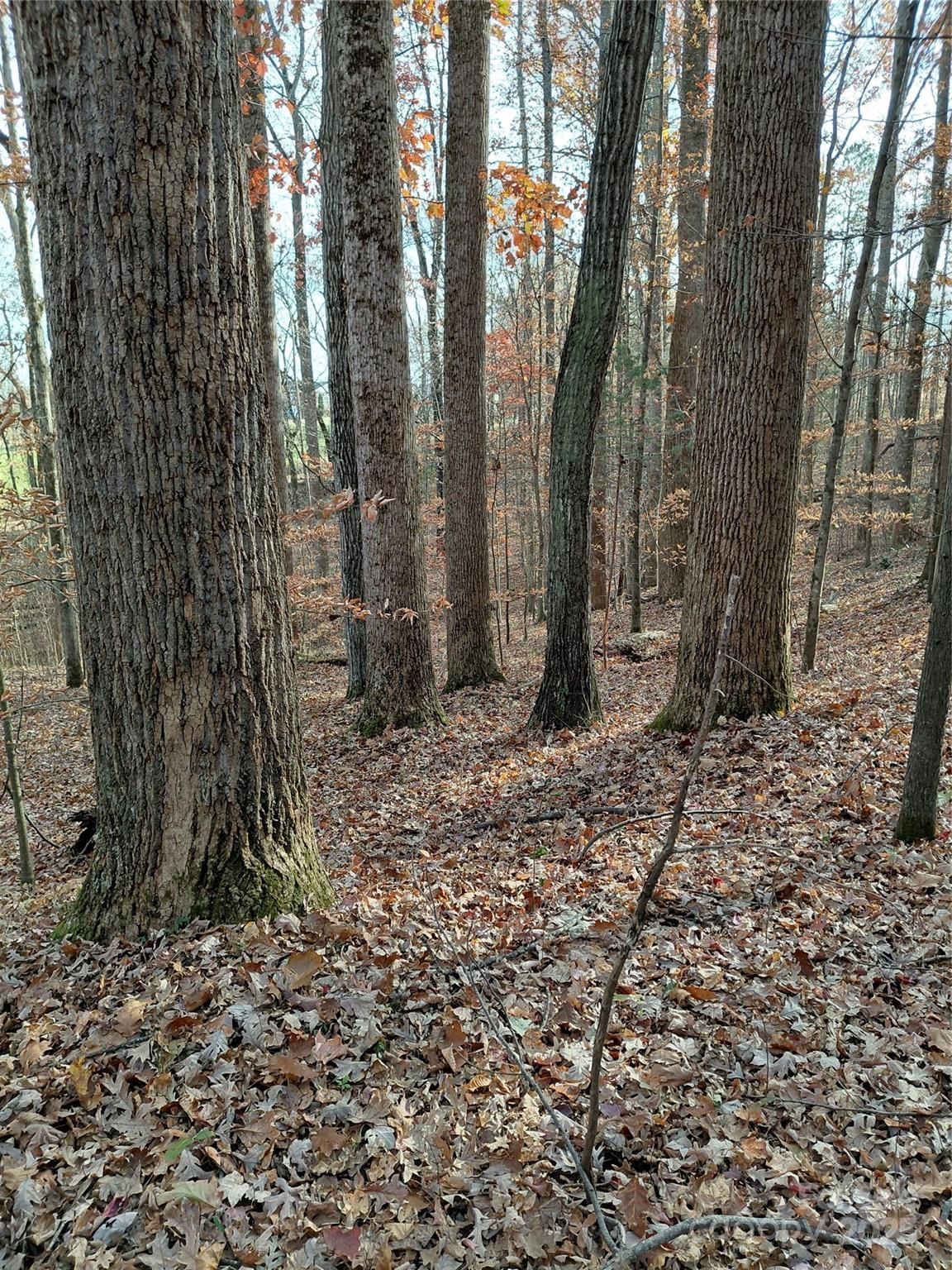 000 Hwy 64 Highway W