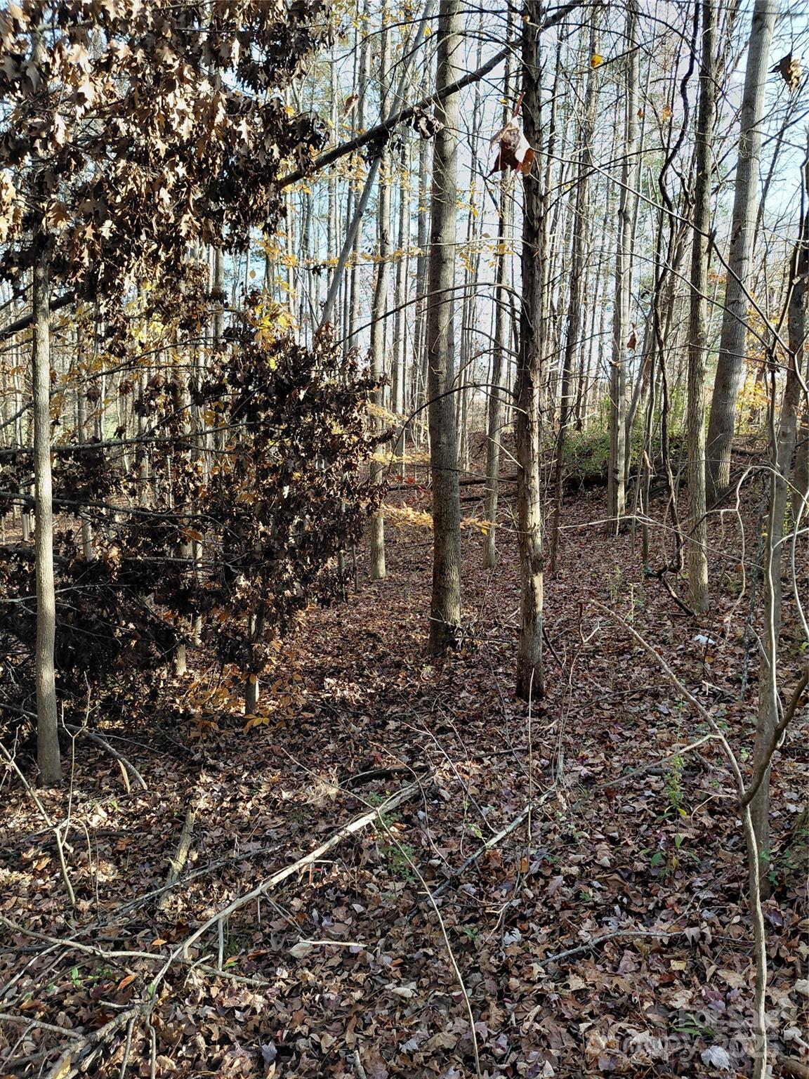 000 Hwy 64 Highway W