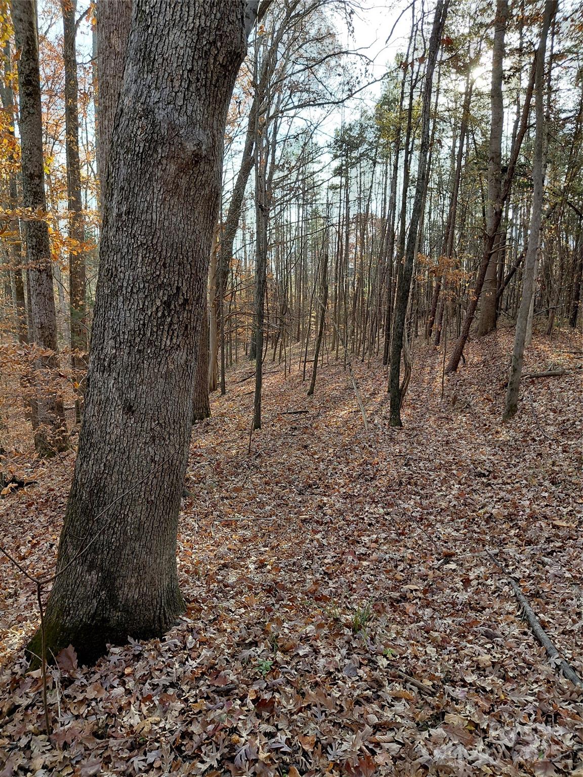 000 Hwy 64 Highway W