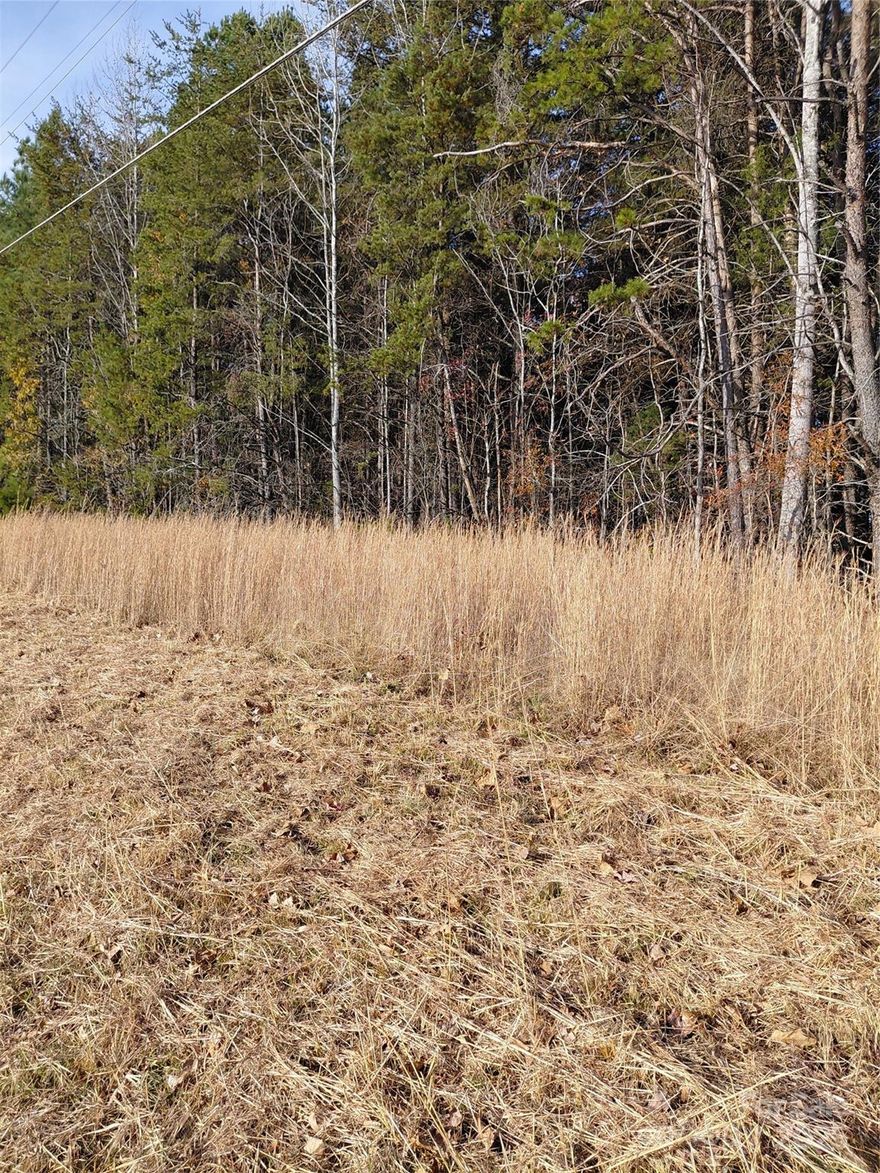 Completely wooded 8.1+- acres.  Perfect for a private estate.   Flat to gently rolling terrain.  Easy acccess to I-40 and a few minutes to I-77.   Mocksville, down the road with a quite small town and plenty of shopping.