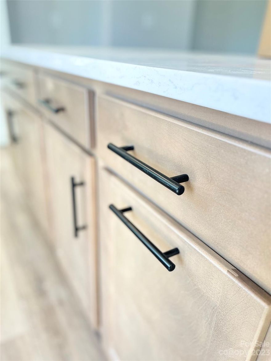 Brand New! The END UNIT Callum at Summey. Now is your opportunity to put your personal touches on this open and welcoming 3 story, end unit home with a fenced in front yard in Central Living at Summey.  This Callum is FULL of windows and is super Light & Bright, very spacious and welcoming. Second floor is made for entertaining with 10' soaring ceilings, open and inviting, featuring a large kitchen island perfect for gathering while creating meals and memories in the heart of this home. Timeless and elegant kitchen finishes include gleaming white cabinetry with contrasting island in quill stain impeccably paired with quartz countertops. The soaring ceiling in the Owner's Retreat, comfortable sitting area and spacious walk in closet make the Owner's Retreat a relaxing and beautiful place to recharge your batteries each night. This home features a side by side two car garage as well. Timeless elegance, superior craftsmanship, not to mention desirable location.