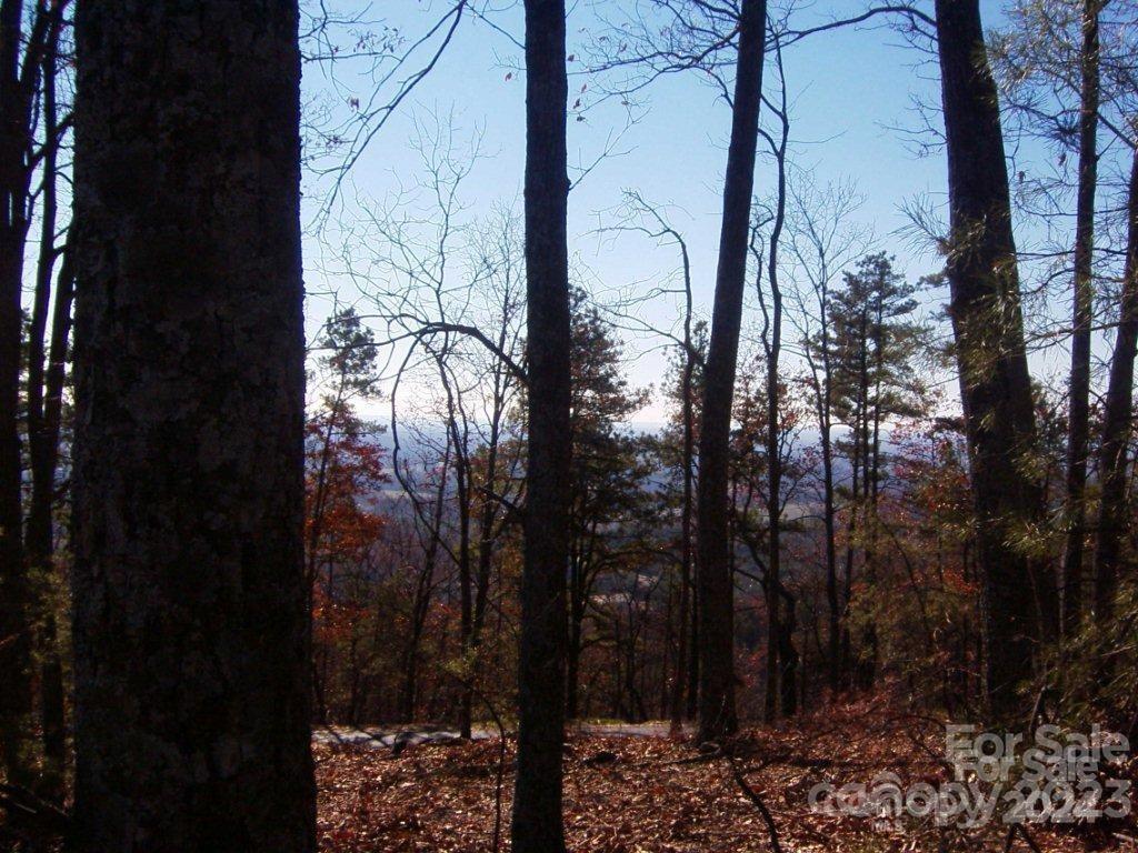 Yellowtop Mountain Estates - Land