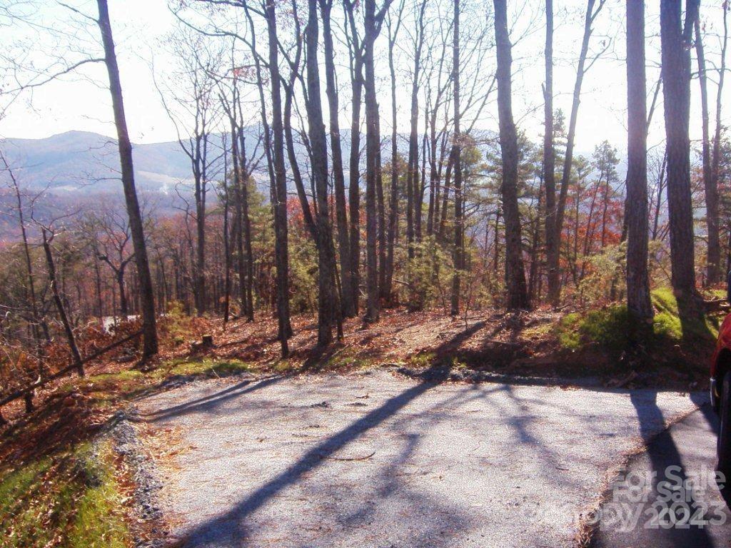 Yellowtop Mountain Estates - Land