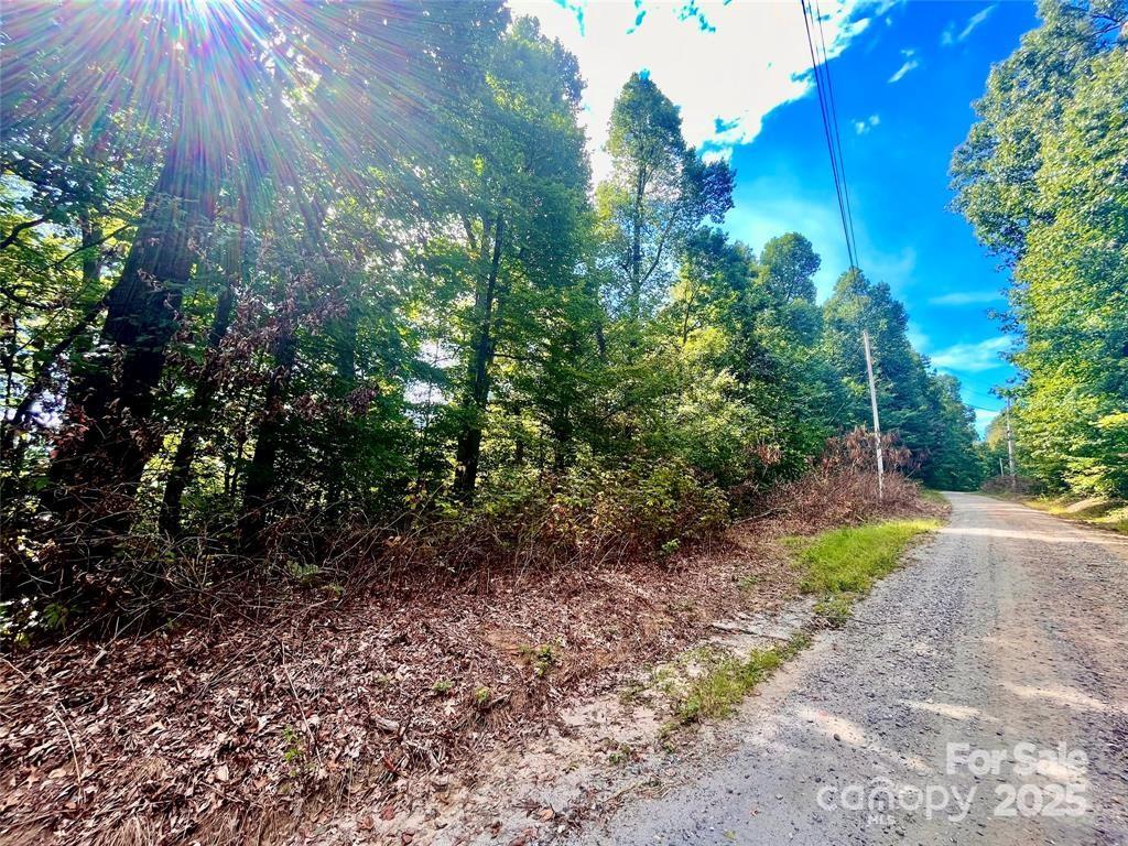 0 Williams Circle 337