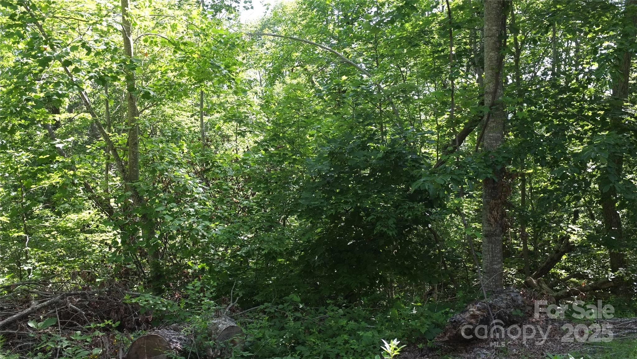 0 Sunset Ridge Drive Lot #21