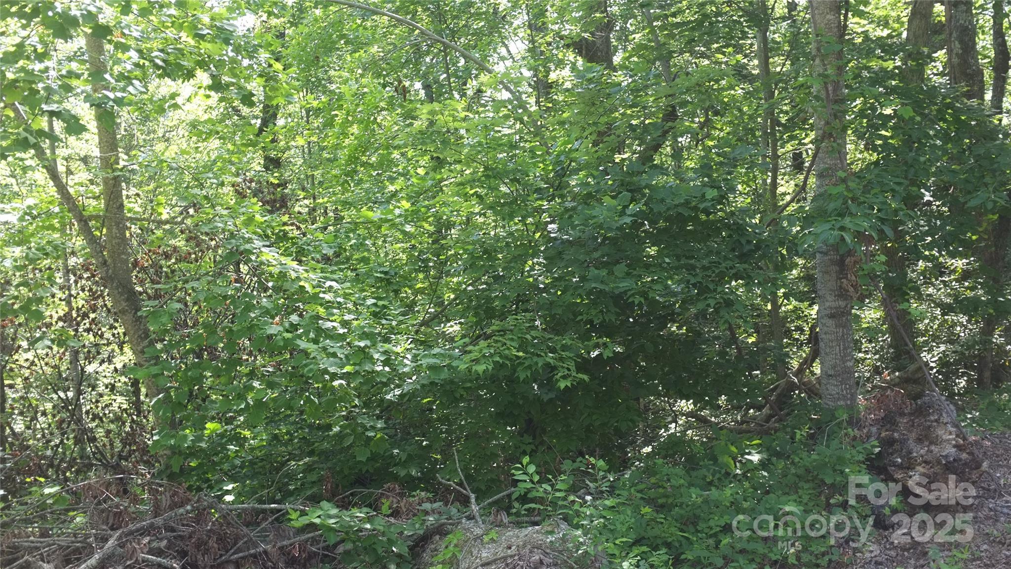 0 Sunset Ridge Drive Lot #21