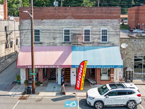 159 Locust Street Spruce Pine NC 28777