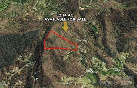 9999 Hookers Gap Road Leicester NC 28748