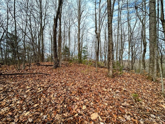 12 RHODODENDRON DR, RUTHERFORDTON, NC 28139 - Image 78fbd5f2d5a3ff7b31b393f470f54d41/1595962136