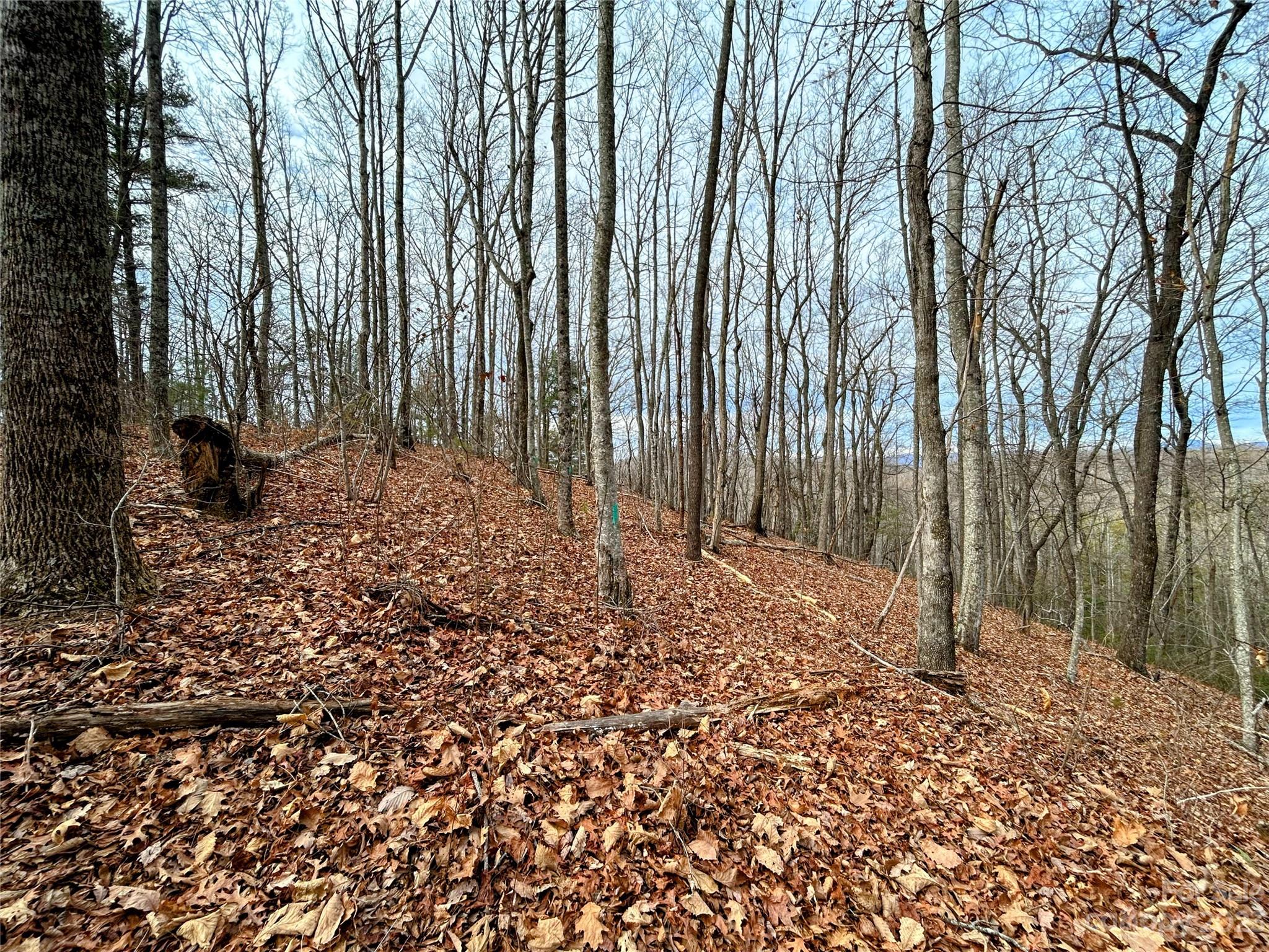 Little Warrior Mtn Estates - Land