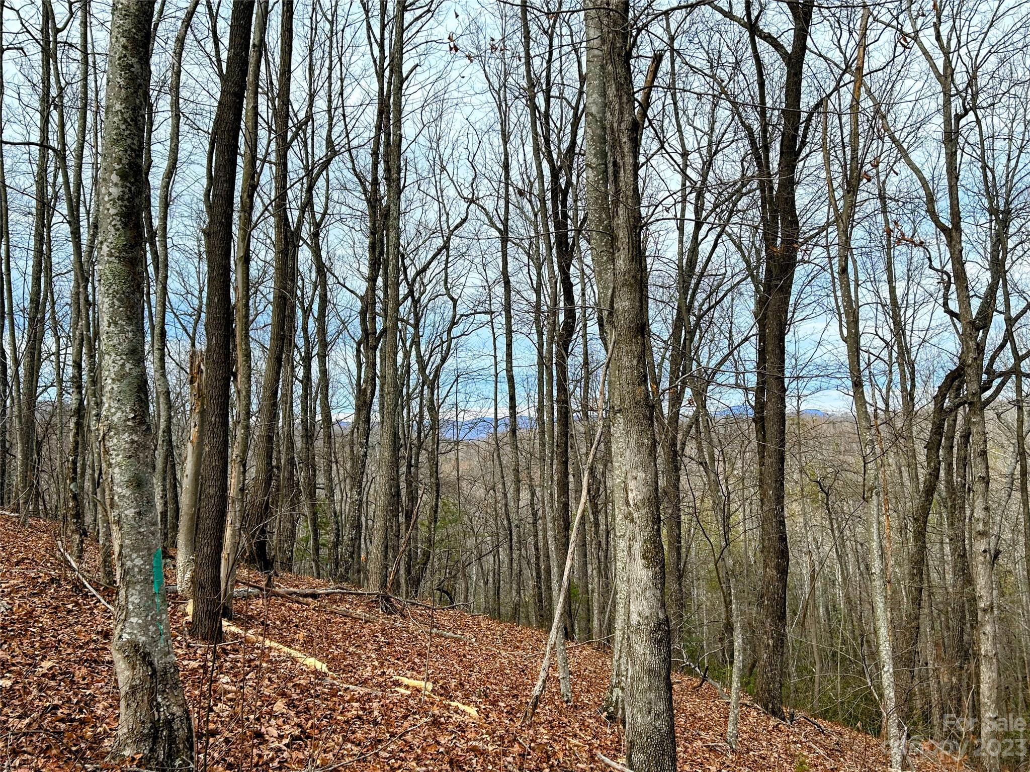 Little Warrior Mtn Estates - Land