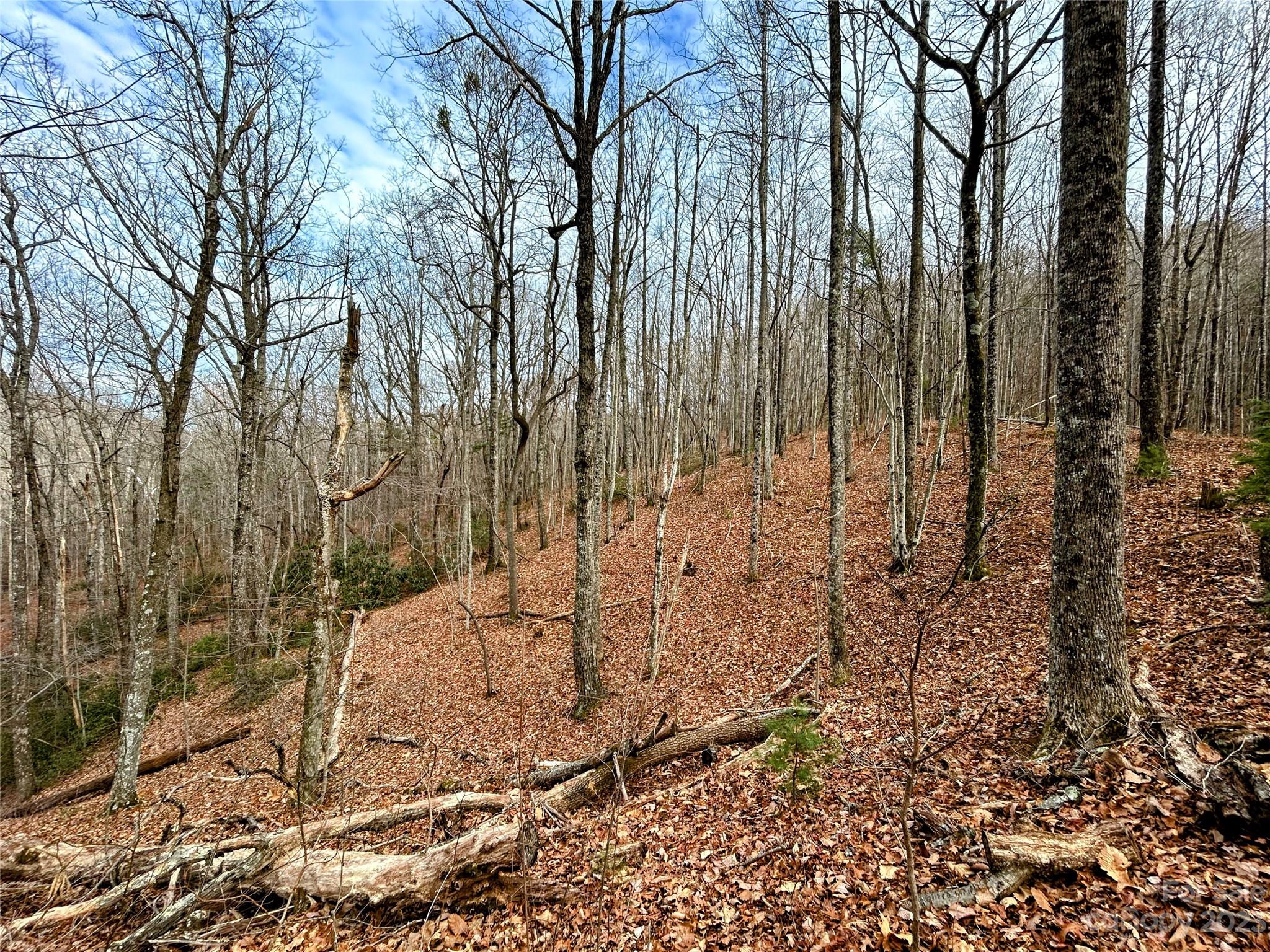 Little Warrior Mtn Estates - Land