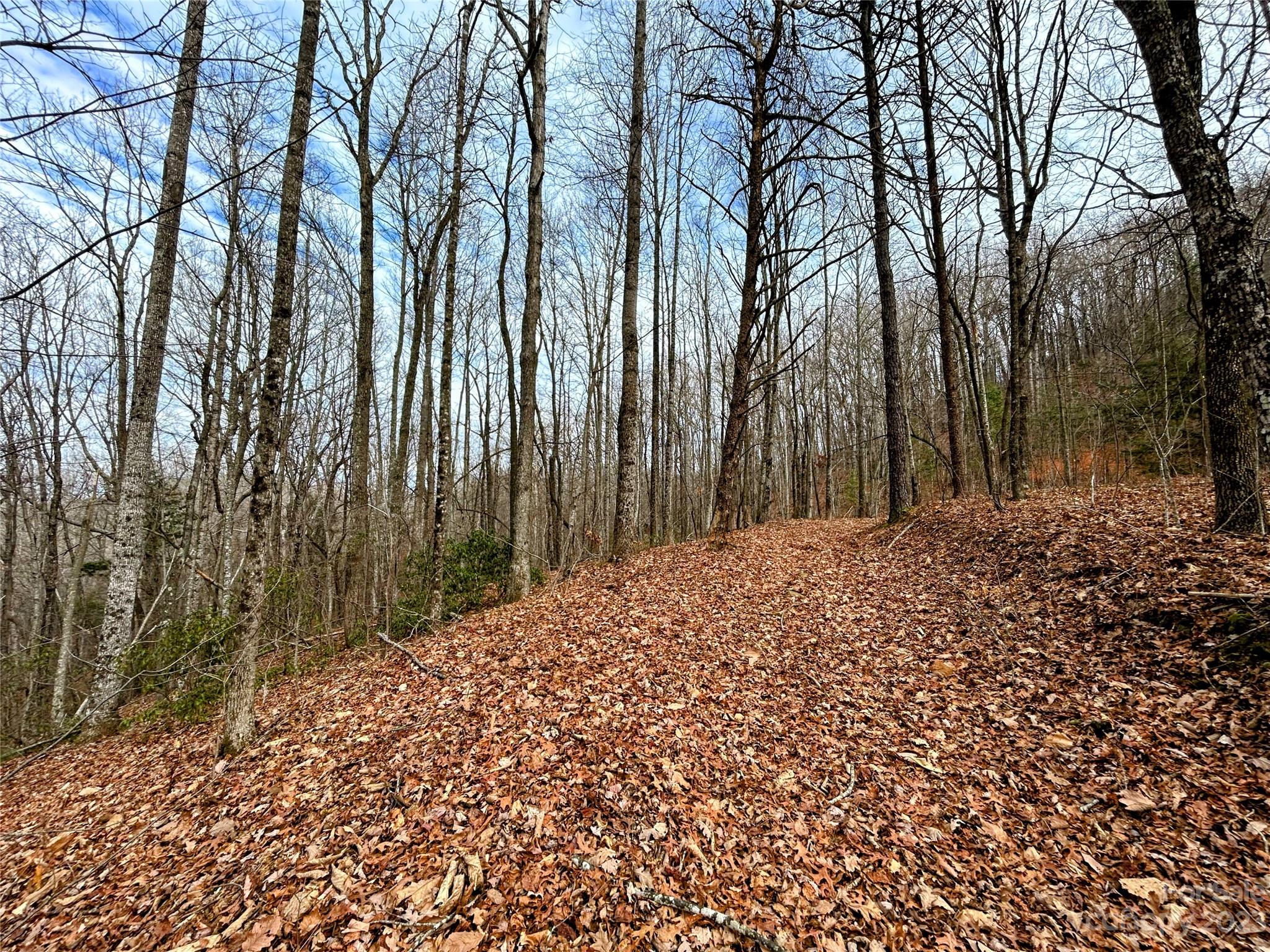 Little Warrior Mtn Estates - Land