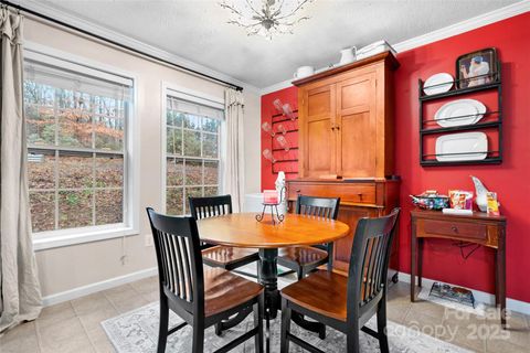 A home in Pisgah Forest