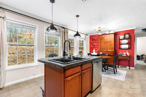 A home in Pisgah Forest