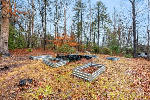 A home in Pisgah Forest