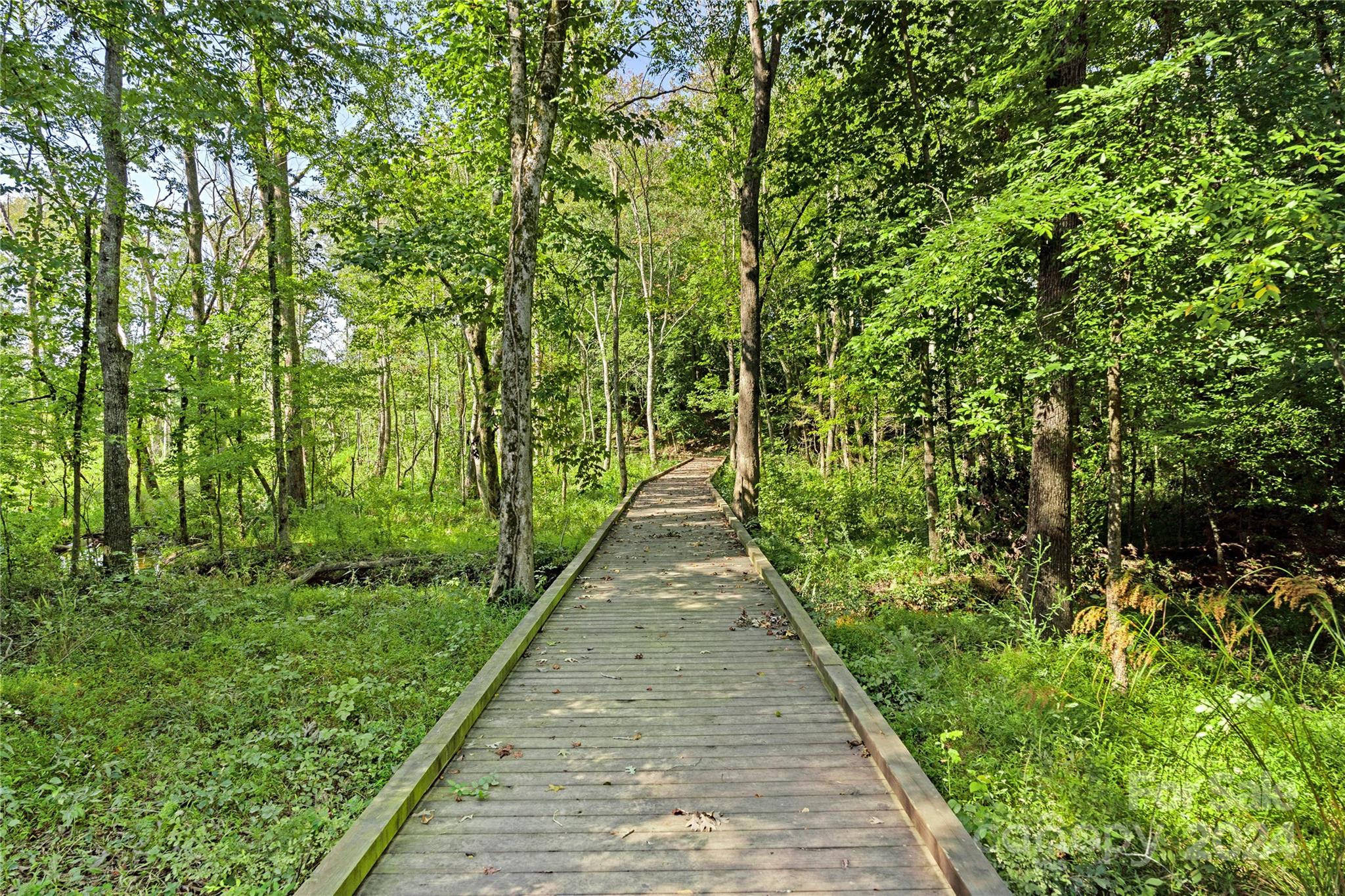 Tree Tops - Residential