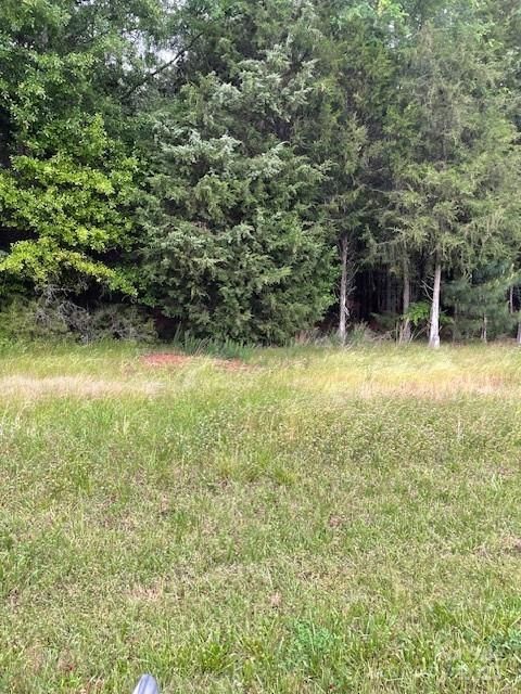 Tract 2 McConnells Highway Rock Hill SC 29732