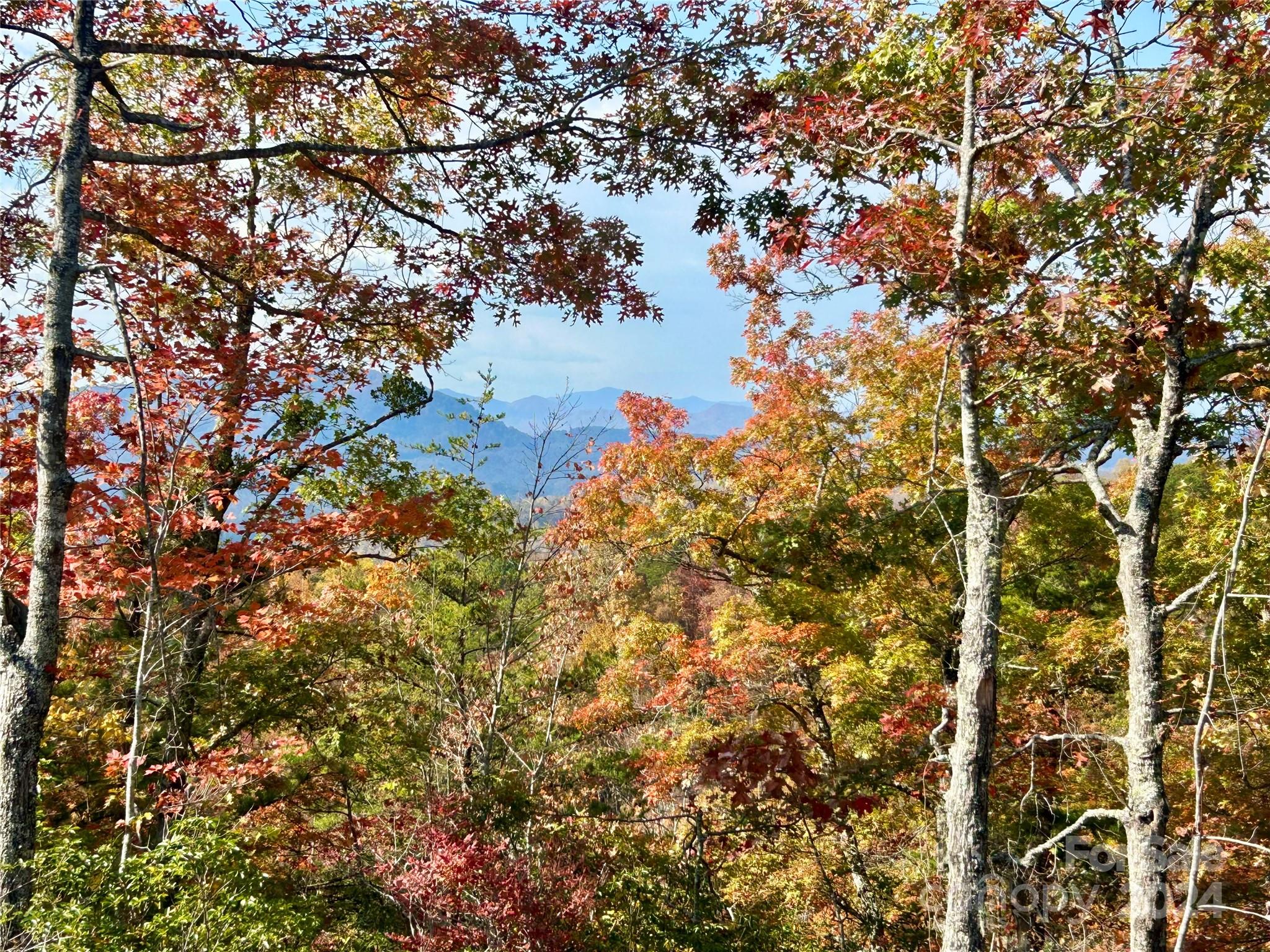 Fontana Lake Properties - Land