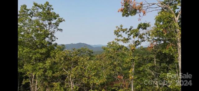 Fontana Lake Properties - Land
