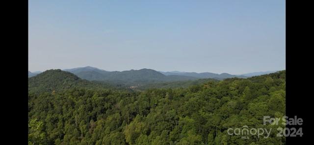 Fontana Lake Properties - Land