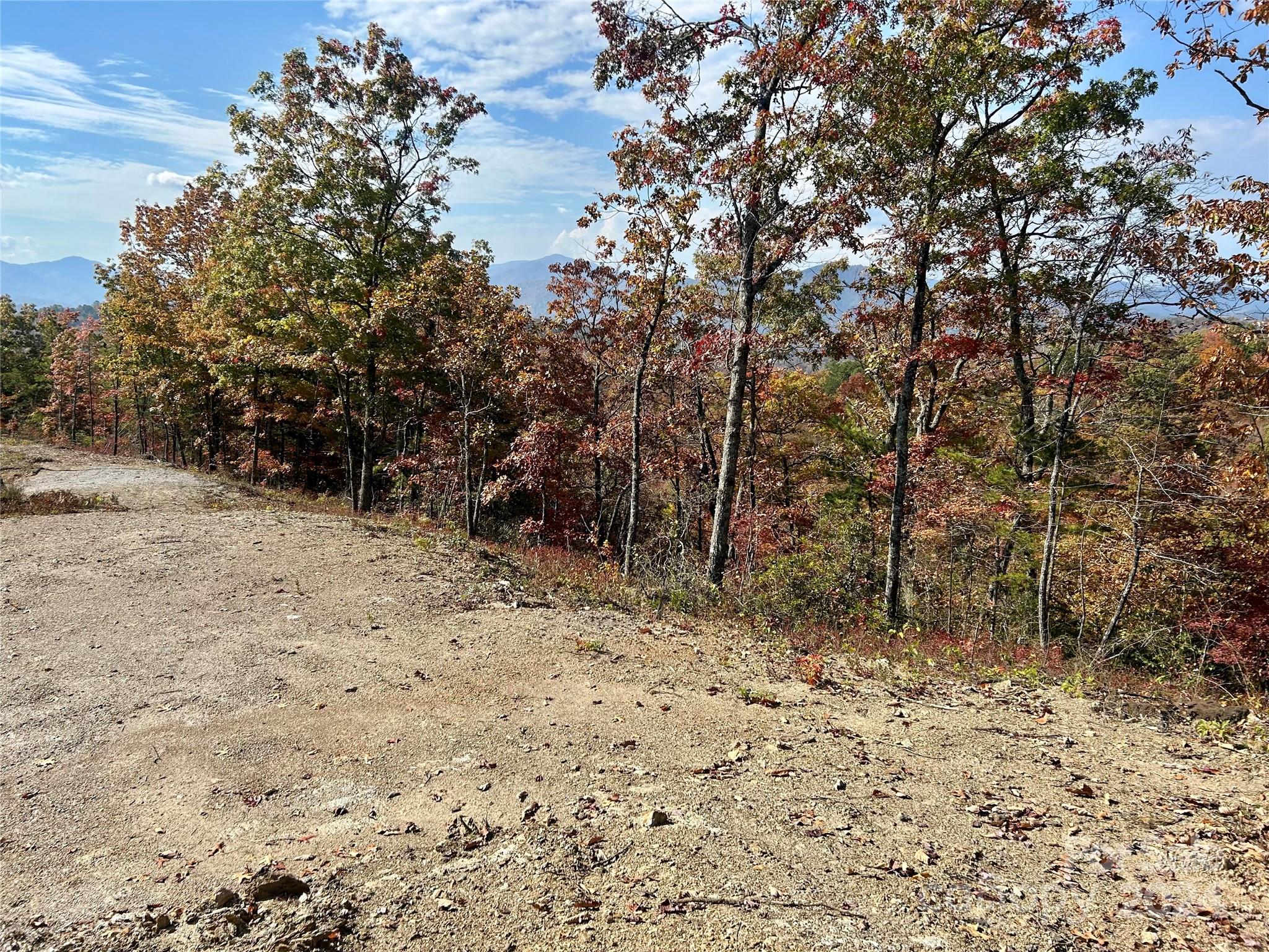 Fontana Lake Properties - Land