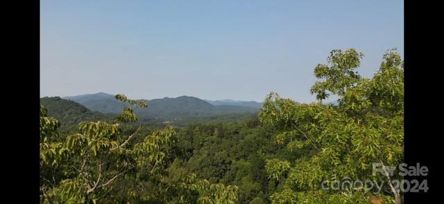 Fontana Lake Properties - Land