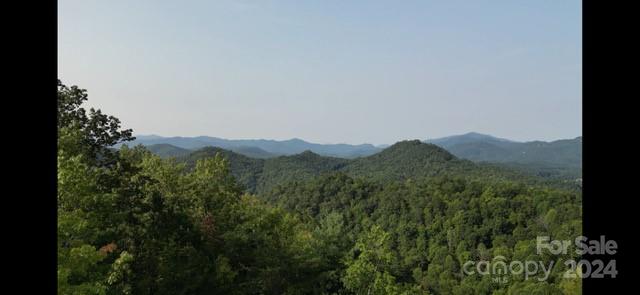 Fontana Lake Properties - Land