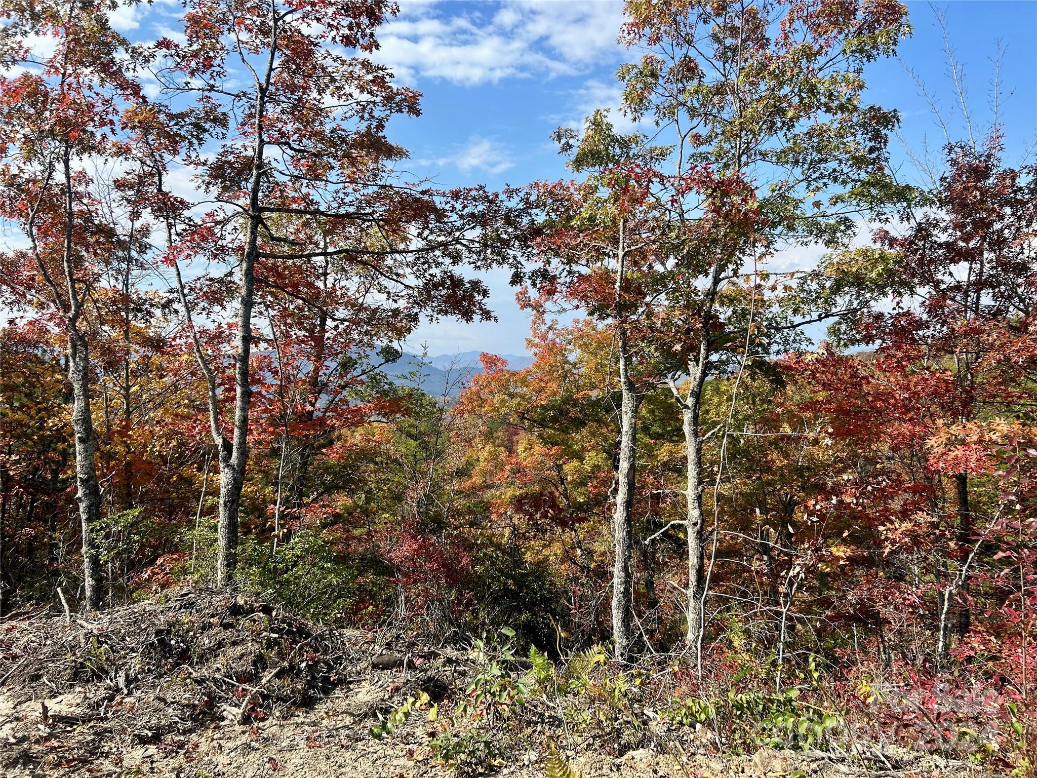 Fontana Lake Properties - Land